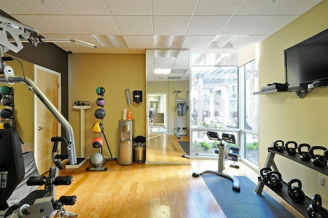 workout room with light wood-type flooring, expansive windows, and a paneled ceiling