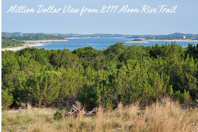 8111 Moon Rise Trl, Jonestown TX, 78645 land for sale