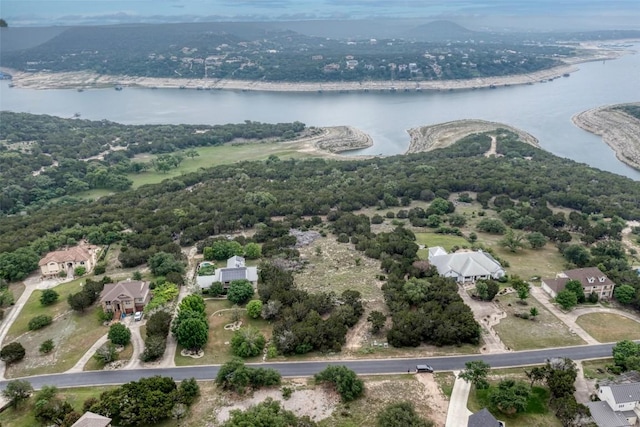 8111 Moon Rise Trl, Jonestown, TX 78645 - photo 4