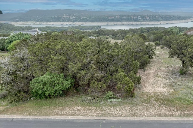8111 Moon Rise Trl, Jonestown, TX 78645 - photo 12