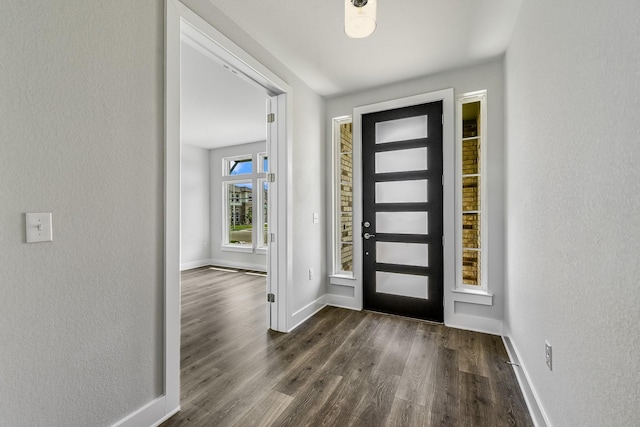 foyer entrance with dark wood-type flooring