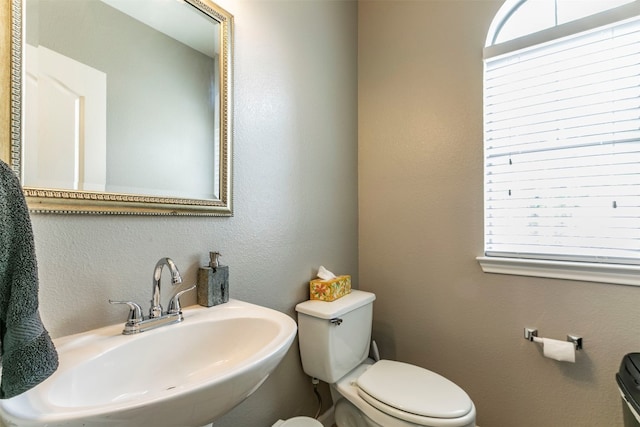 bathroom featuring sink and toilet