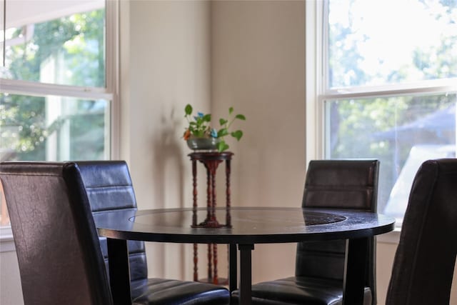 view of dining area