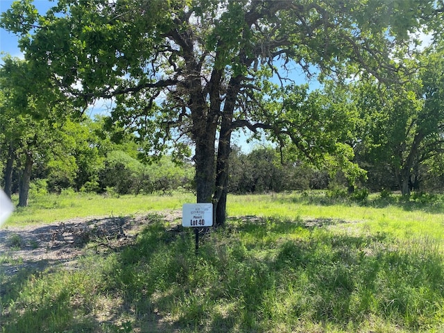 TBD(Lot40) Private Road 42107, Evant TX, 76525 land for sale