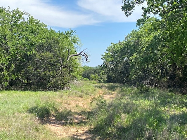 Listing photo 3 for TBD(Lot40) Private Road 42107, Evant TX 76525