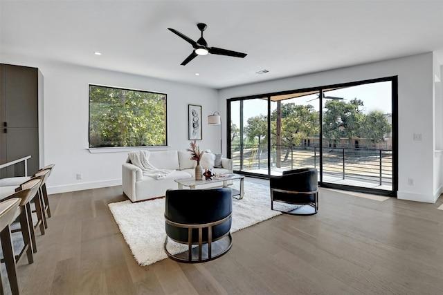 living room with ceiling fan and wood-type flooring