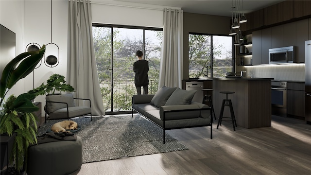 living room with dark wood-type flooring