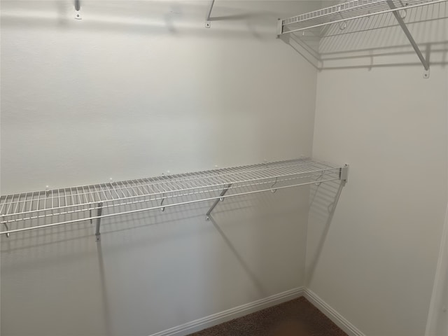 spacious closet with carpet flooring