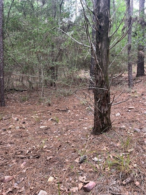 Listing photo 3 for LOT358 Wainee Dr, Bastrop TX 78602