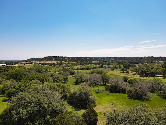 Listing photo 3 for TBD Fm 581 W, Lometa TX 76853