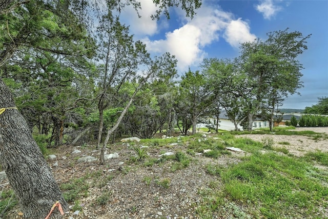 19418 Fisher Ln, Spicewood, TX 78669 - photo 6