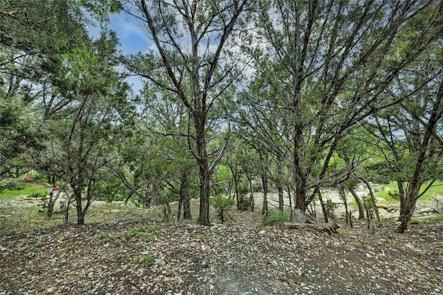 19418 Fisher Ln, Spicewood, TX 78669 - photo 7
