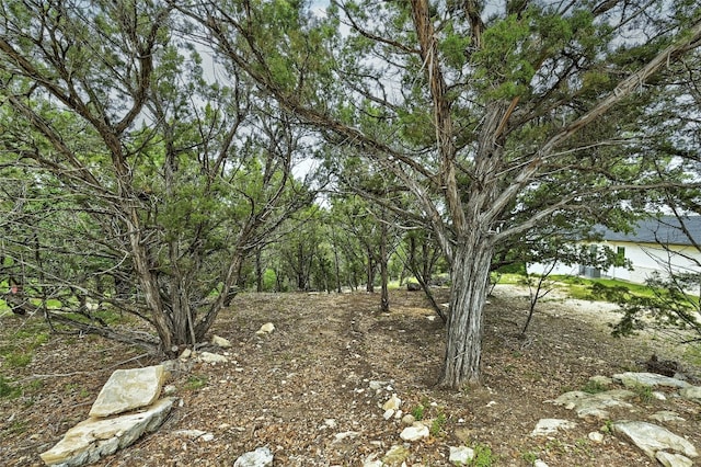 19418 Fisher Ln, Spicewood, TX 78669 - photo 11