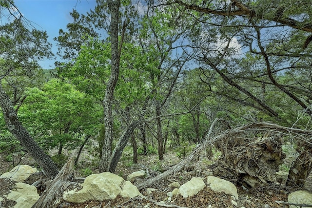 19418 Fisher Ln, Spicewood, TX 78669 - photo 12