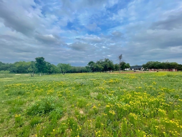 view of landscape with a rural view