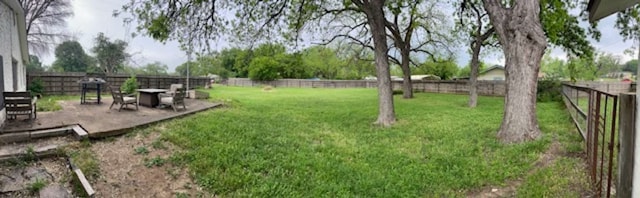 view of yard featuring a patio area