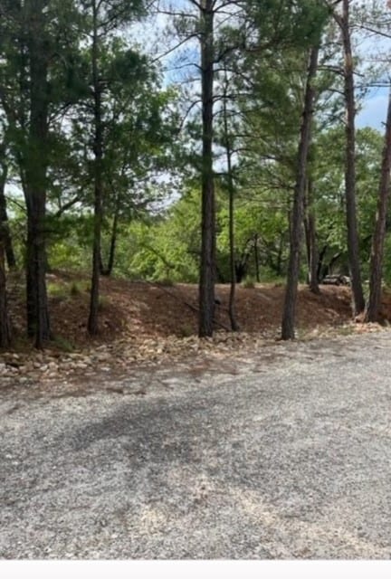 LOT1114 Kaohikaipu Dr, Bastrop TX, 78602 land for sale