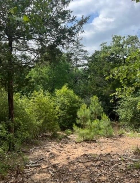 Listing photo 2 for LOT1114 Kaohikaipu Dr, Bastrop TX 78602