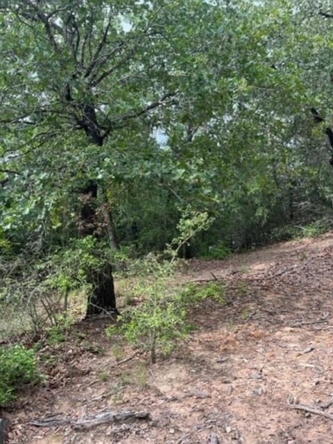 Listing photo 3 for LOT1114 Kaohikaipu Dr, Bastrop TX 78602