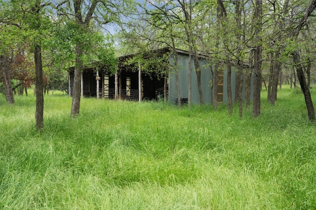 view of local wilderness