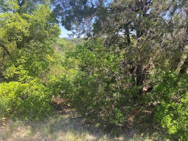 Listing photo 2 for 8617 Bar-K Ranch Rd, Lago Vista TX 78645