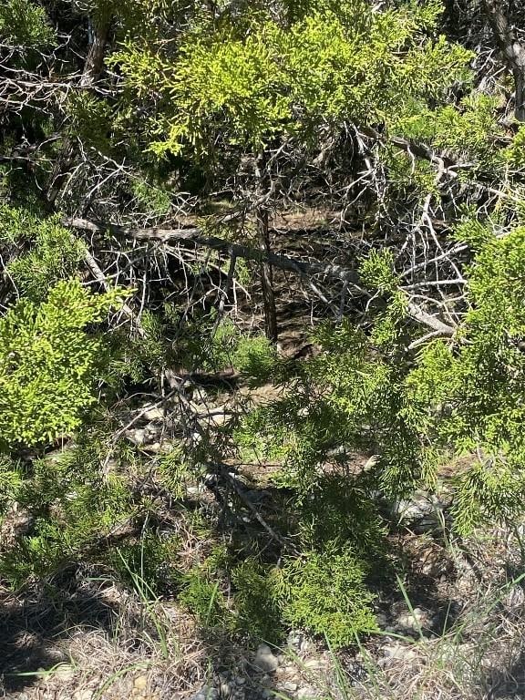 9302 Timber Trl, Lago Vista, TX 78645 - photo 6