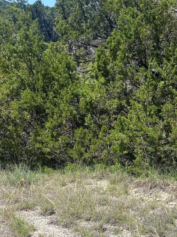 9302 Timber Trl, Lago Vista, TX 78645 - photo 7