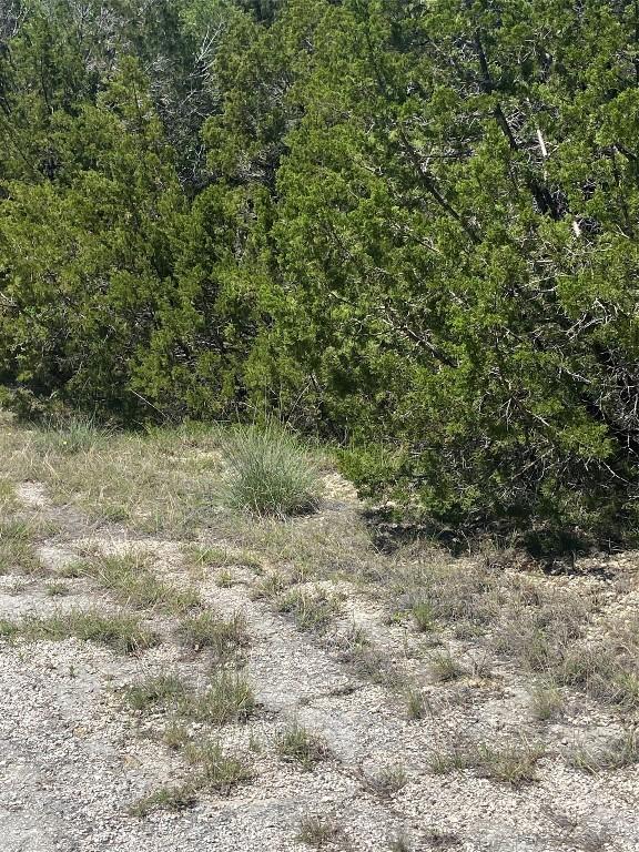 9302 Timber Trl, Lago Vista, TX 78645 - photo 10