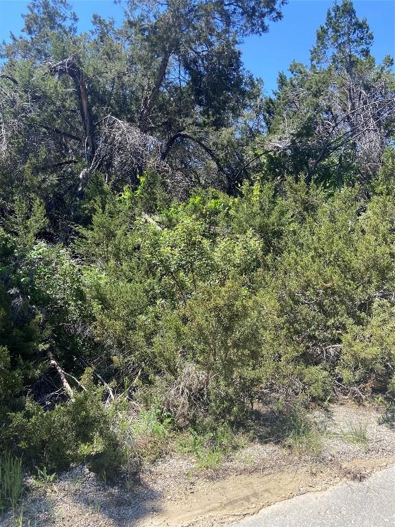 20601 Oxbow Trl, Lago Vista, TX 78645 - photo 6