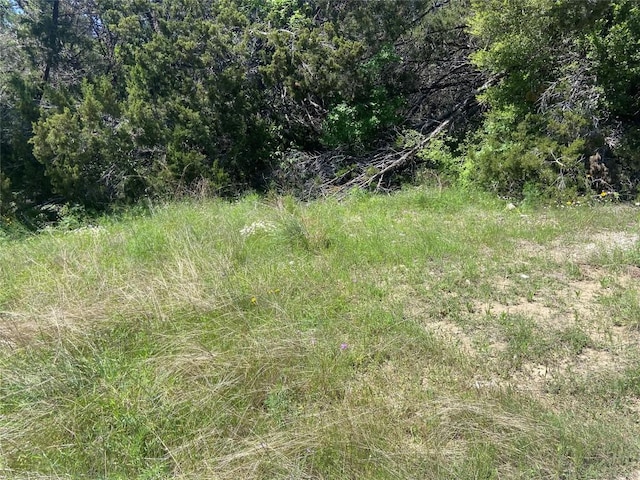 20601 Oxbow Trl, Lago Vista, TX 78645 - photo 9