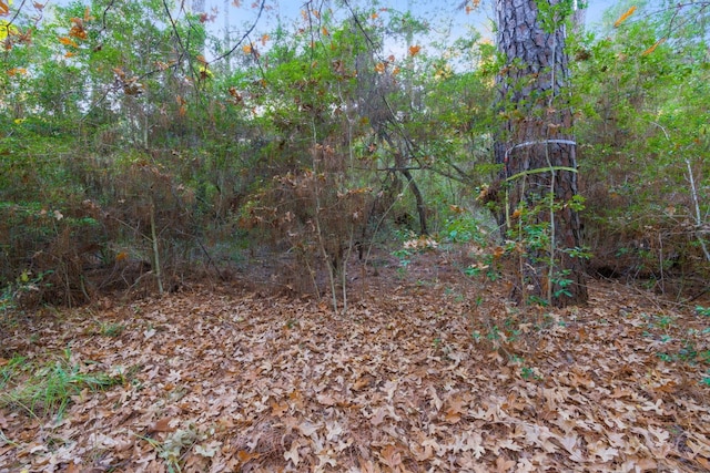 Listing photo 3 for TBD Hekili Dr, Bastrop TX 78602