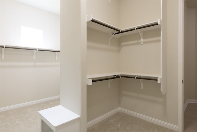 walk in closet featuring light colored carpet