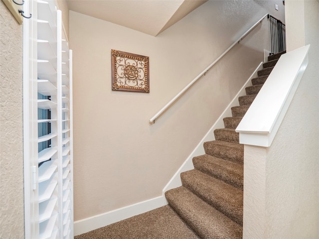 stairway with carpet flooring