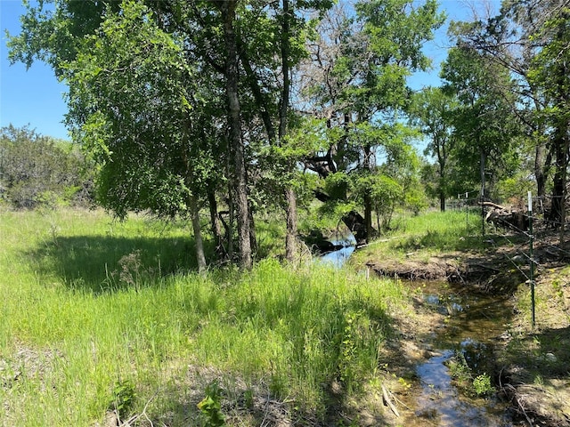 Listing photo 3 for TBD(Lot32) Fossil Ridge Court, Evant TX 76525