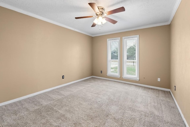 spare room featuring ornamental molding, carpet floors, and a textured ceiling