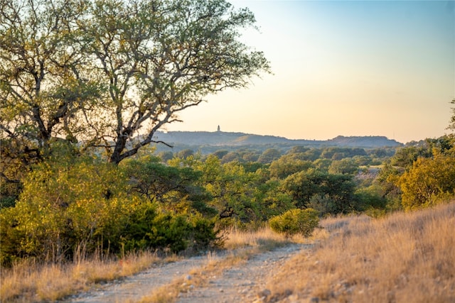 view of mountain feature