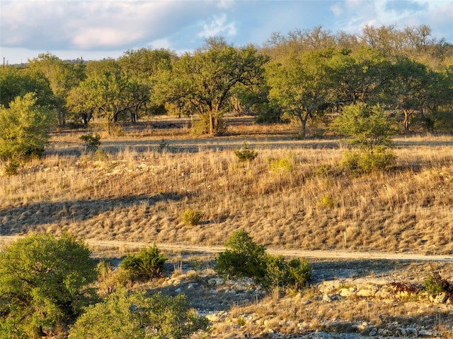 view of local wilderness