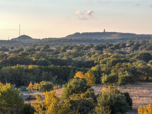 view of mountain view