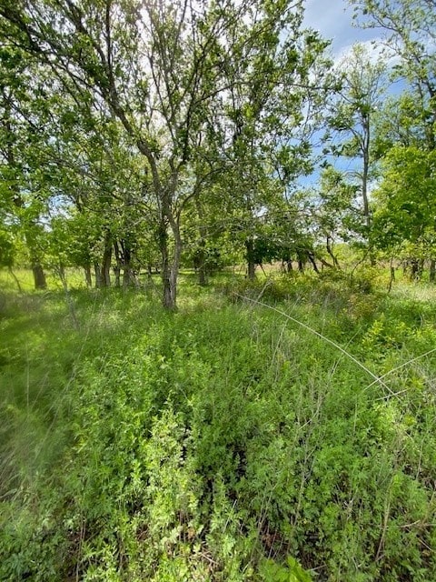 00 Fm-1979, Martindale TX, 78655 land for sale