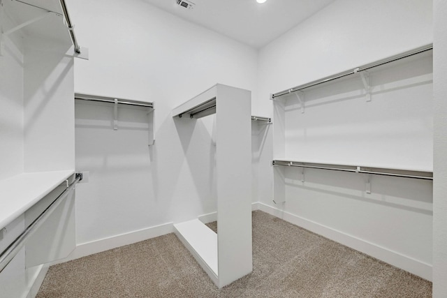 walk in closet with light colored carpet