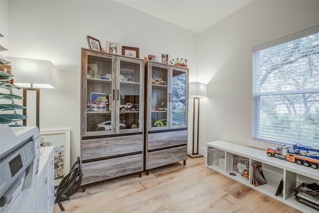 sitting room with light hardwood / wood-style flooring and a wealth of natural light