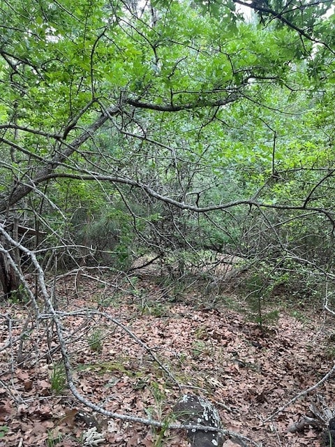 LOT1603 Ulupau Cir, Bastrop TX, 78602 land for sale