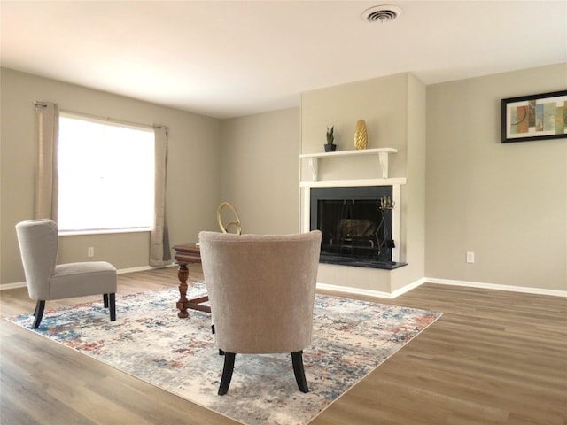 living room featuring hardwood / wood-style flooring