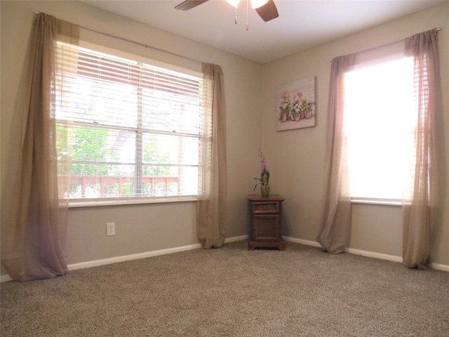 spare room with ceiling fan and carpet flooring