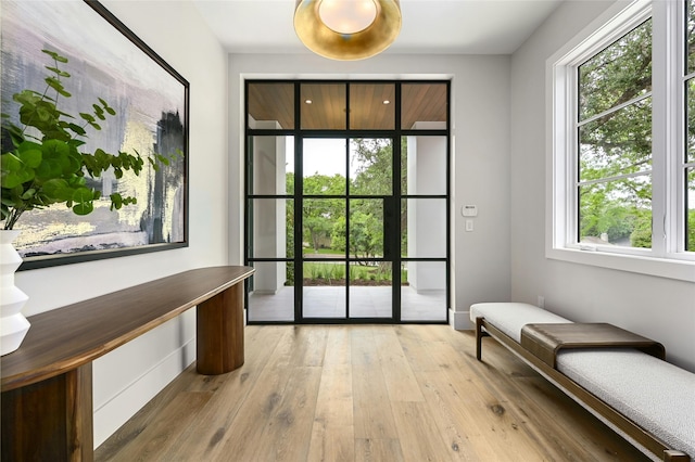 doorway to outside with light hardwood / wood-style flooring