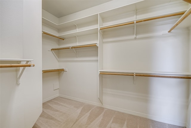 spacious closet with light colored carpet