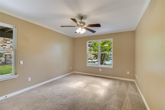 unfurnished room featuring ceiling fan, carpet, and crown molding