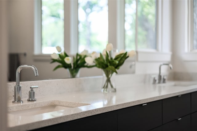 bathroom with dual bowl vanity