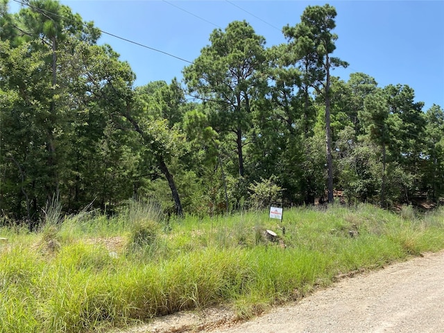 156 Molokini Dr, Bastrop TX, 78602 land for sale