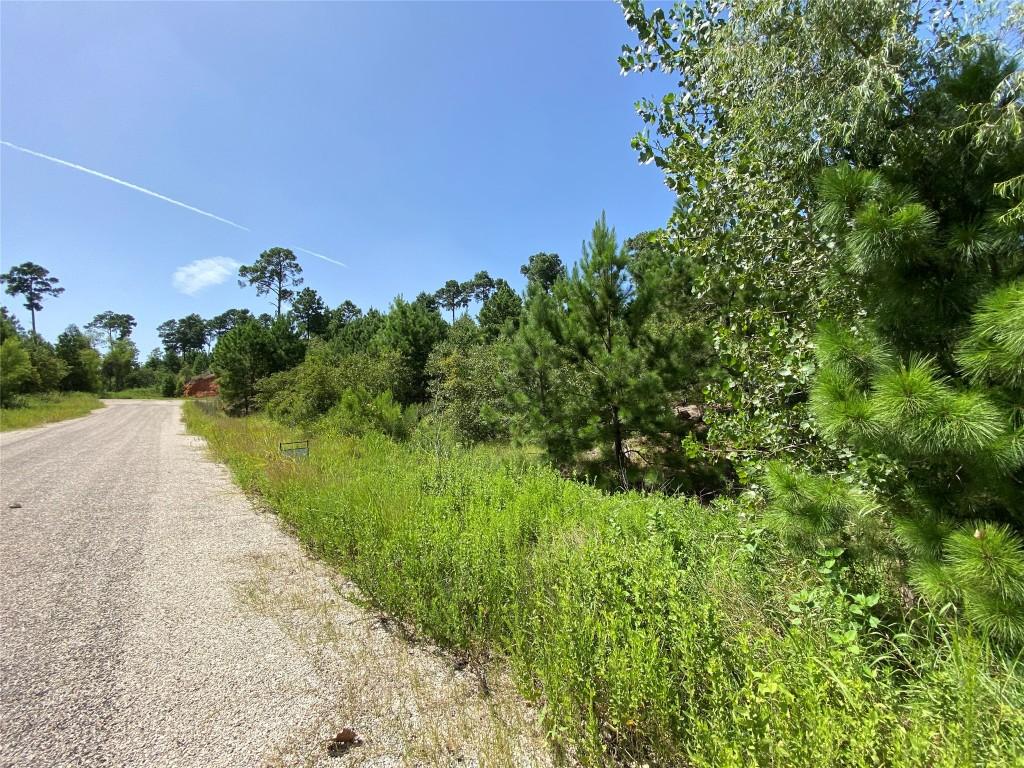 184 Keo Kea Ct, Bastrop, TX 78602
